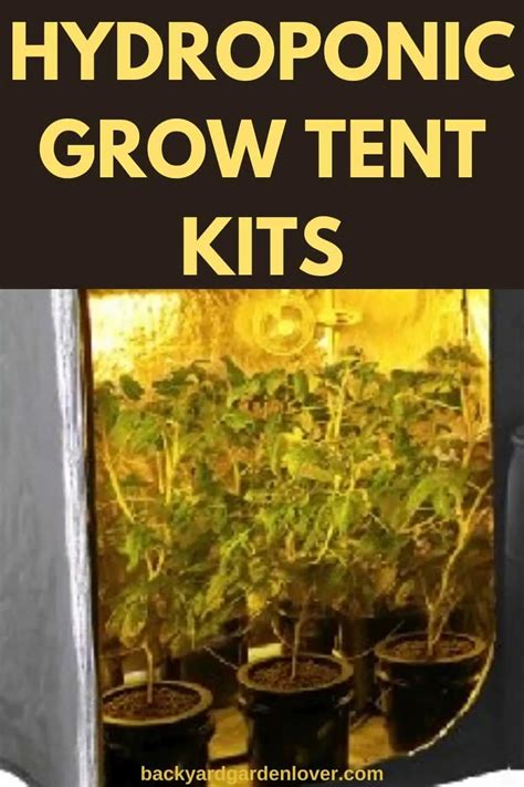 Hydroponic Grow Tent Kits For Year-Round Harvesting