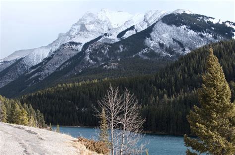 Winter Wonderland in Canadian Rocky Mountains