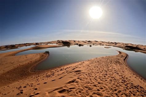 'Exceptional': Intense Rainfall Has Transformed The Sahara Desert ...