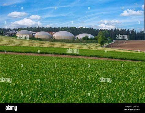 Facility for bio energy production Stock Photo - Alamy