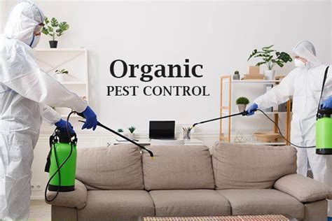 Organic Pest Control Dubai - Jpcdubai