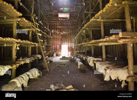 Iroquois Longhouse Interior