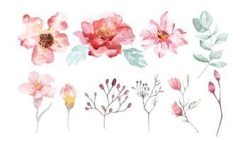 Watercolor Flowers Background Free Vector | Best Flower Site