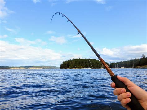 Two BC spots ranked among best fishing areas in Canada | Lifestyle