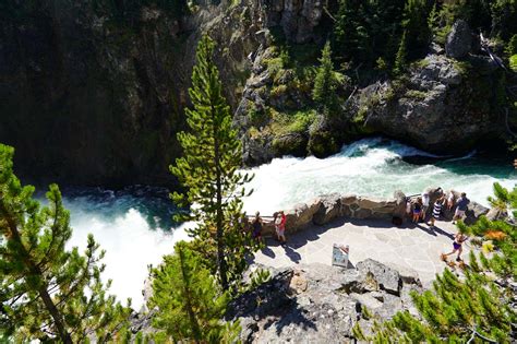 Upper Falls - Powerful Waterfall on the Yellowstone River