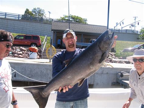 Lake Ontario Fishing Pictures From Our Successful Oswego,NY Clients