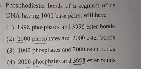 Phosphodiester bond of a segment of ds DNA having 1000 b.p will have ...