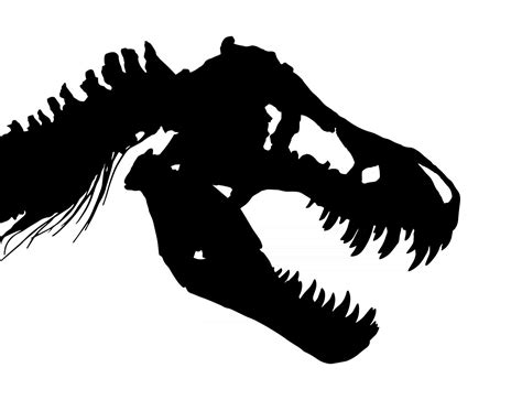 T Rex Skeleton Drawing