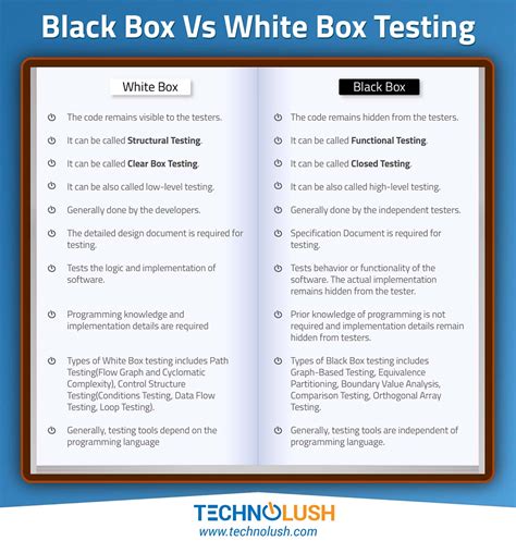 Black Box Vs White Box Testing | TechnoLush