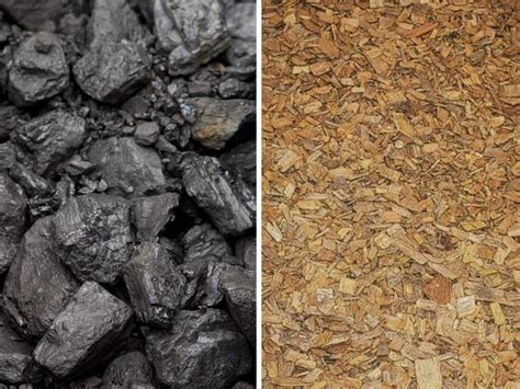 Fossil Fuels vs Biofuel, Biomass, Biogas & Bioenergy: Comparison ...