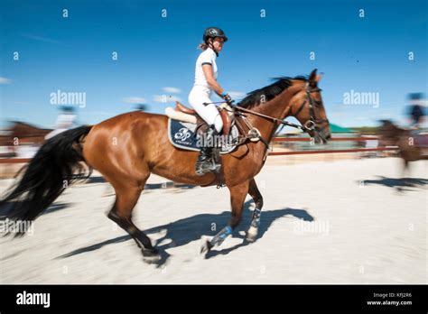 horse jumping competition Stock Photo - Alamy