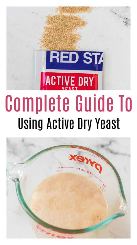 What Is Active Dry Yeast?