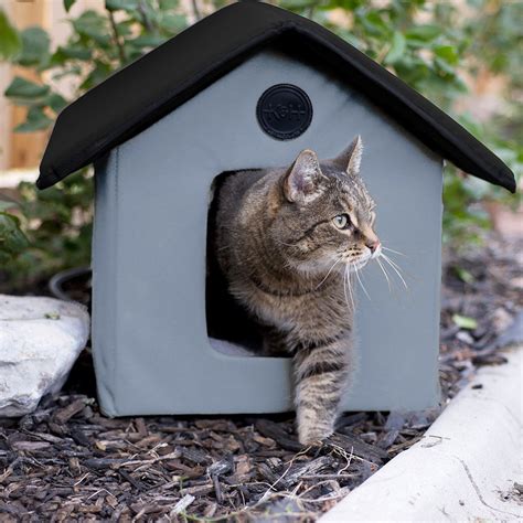 This Heated Cat House Will Keep Outdoor Kitties Warm Through Freezing ...