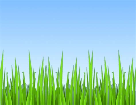 Grass Background Cartoon Hd - Firdausm Drus