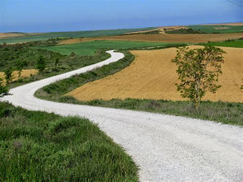 Dancing Down the Camino: The Meseta