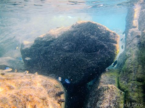 Scuba Diving Lake Malawi | As Her World Turns