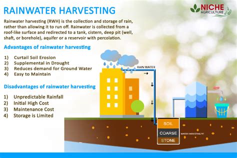 Methods Of Rainwater Harvesting In India Class 10 at Toni Freese blog