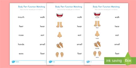 Body Parts Function Matching Differentiated Activity - mouth