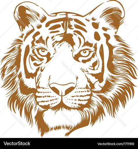 Tiger stencil Royalty Free Vector Image - VectorStock