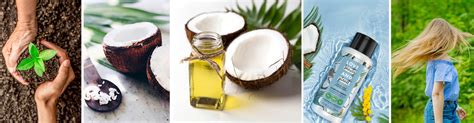 Coconut Oil Benefits for Hair | Love Beauty & Planet US