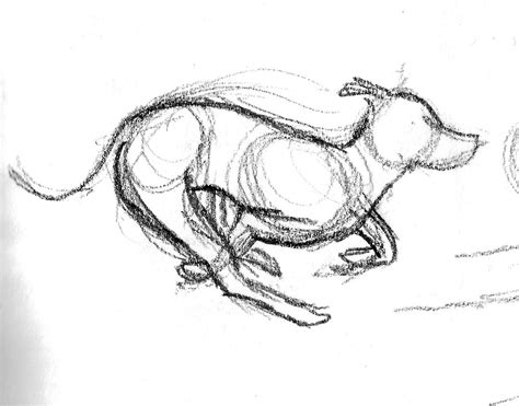 Easy Gesture Drawing Animals