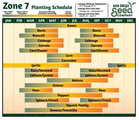 Zone 7 Planting Calendar — San Diego Seed Company