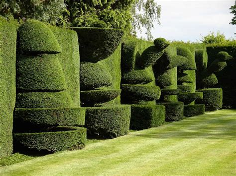 Top 20 Sculptural Topiaries - 1001 Gardens