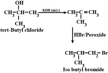 Tert Butyl Bromide Structure