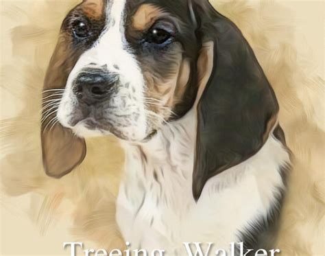 Walker Hound Puppies: Traits, Care, and Training Tips - Dogsintl