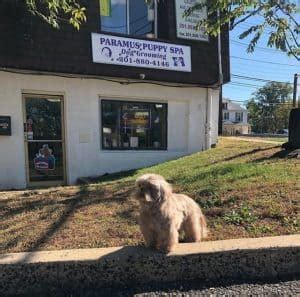 Paramus Puppy Spa, Dog Grooming | Paramus NJ