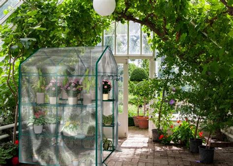 The best indoor greenhouses – Greenhouse Hunt