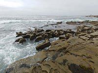 Shell Beach Tide Pools (La Jolla) - All You Need to Know BEFORE You Go