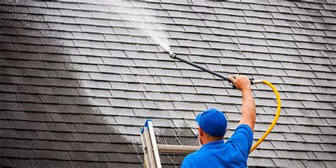 Professional Roof Washing Services | Ned Stevens of Long Island