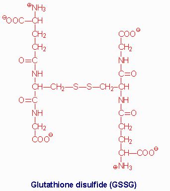 Glutathione disulfide - Alchetron, The Free Social Encyclopedia