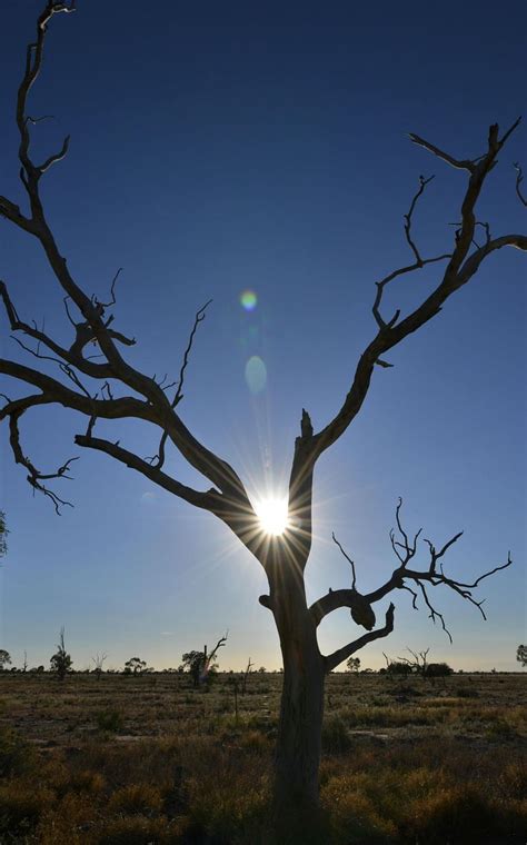 Australia set for more heat waves amid climate change | Prothom Alo