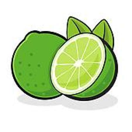 free lime clipart 10 free Cliparts | Download images on Clipground 2024