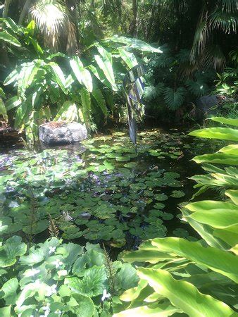 San Diego Botanic Garden (Encinitas) - All You Need to Know Before You ...