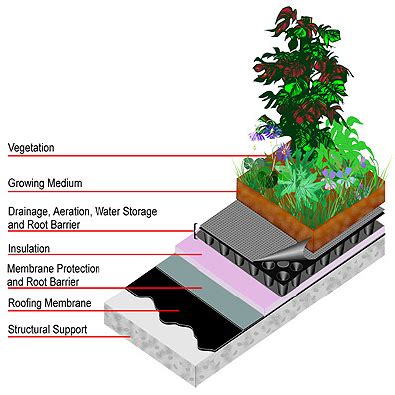 Typical green roof structure. | Download Scientific Diagram