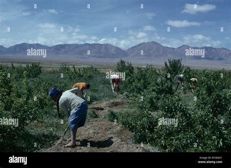 MONGOLIA Gobi Desert Stock Photo - Alamy