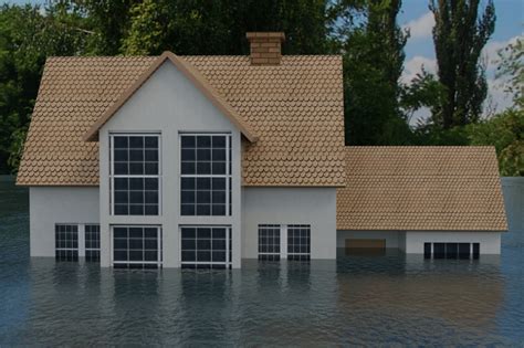 6 Basement Flooding Prevention Tips for Homeowners - The PK Times