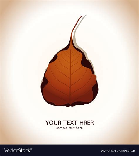 Bodhi leaf Natural Royalty Free Vector Image - VectorStock