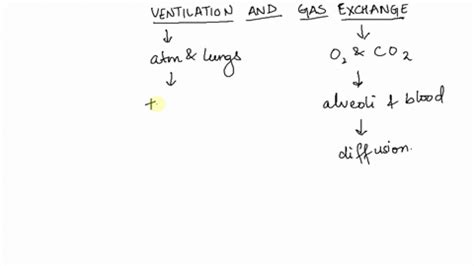 SOLVED: a. What is/are the differences between pulmonary ventilation ...