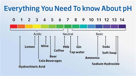 What is pH of Water?- Everything You Should Know About Water