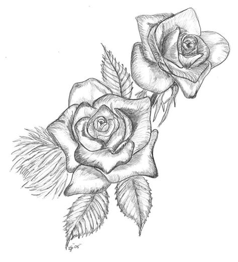 Two Roses by bdolphnz on DeviantArt