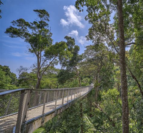 Penang Hill Walkway Designated as UNESCO Biosphere Reserve!