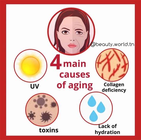 4 Main Causes of Aging