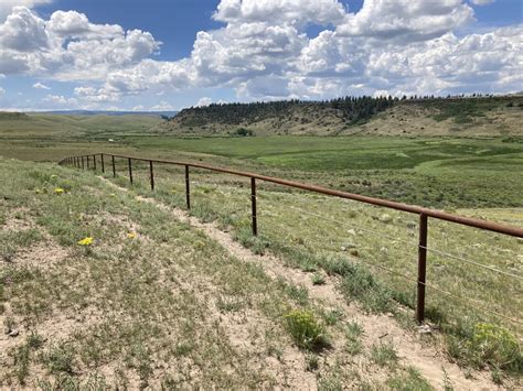 Stewart Meadows: a sanctuary for wildlife - New Mexico Wildlife magazine