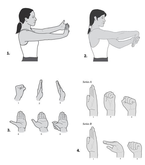 Carpal Tunnel Syndrome Effective Exercises Carpal Tunnel Syndrome ...