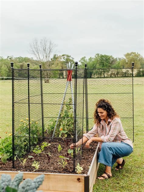 Tall Chicken Wire Critter Fence with Gate