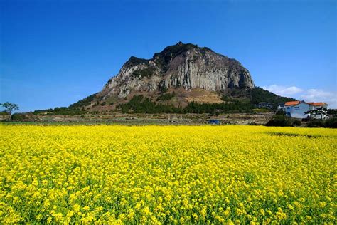 Jeju autumn itinerary — 6 best places to visit & top things to do in ...